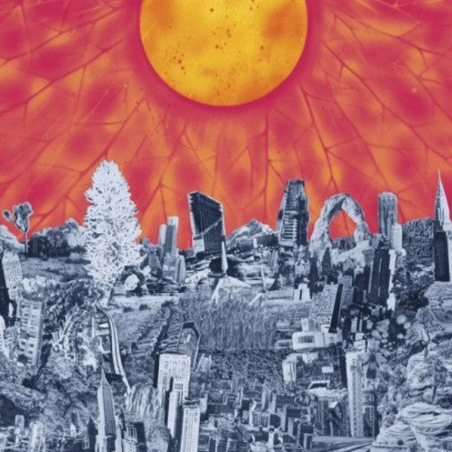 Mapmaker ( Vinyl ) { Vinyl }