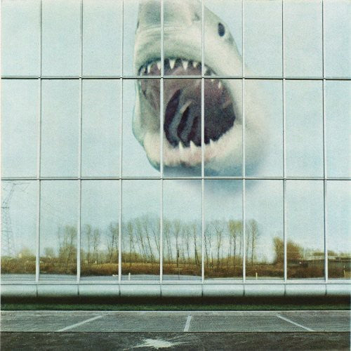 Wilderness Heart ( Vinyl ) { Vinyl }