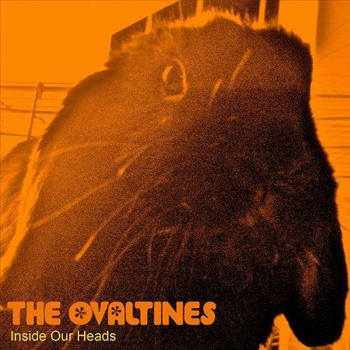 Inside Our Heads ( Vinyl ) { Vinyl }
