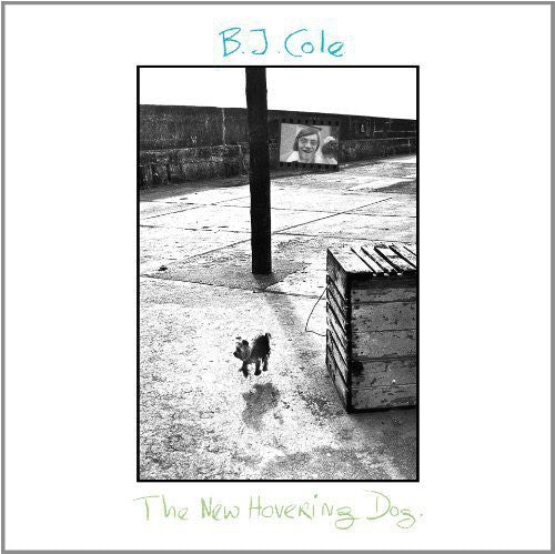 New Hovering Dog ( Vinyl ) { Vinyl }