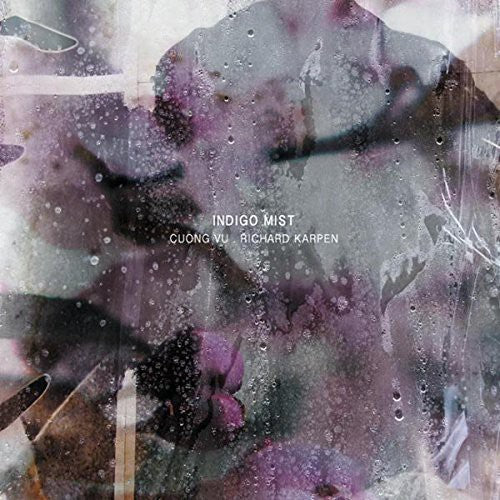 That the Days Go By & Never Come Again ( Vinyl ) { Vinyl }