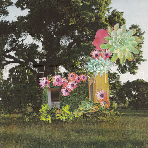 Home Everywhere ( Vinyl ) { Vinyl }
