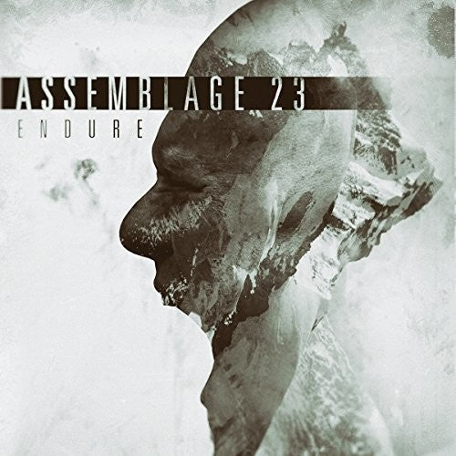 Endure ( Vinyl ) { Vinyl }