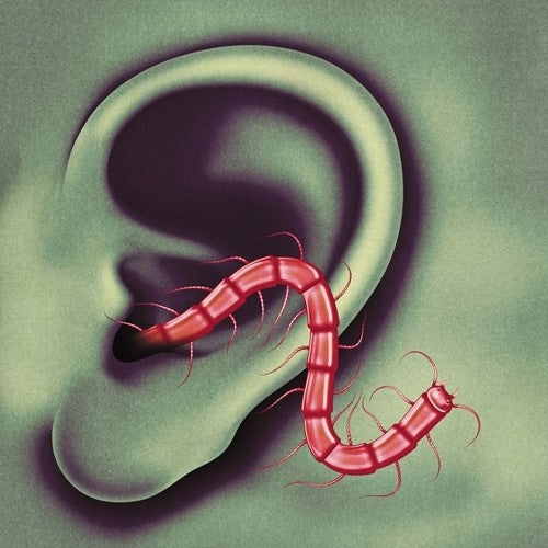 Odd Entrances ( Vinyl ) { Vinyl }
