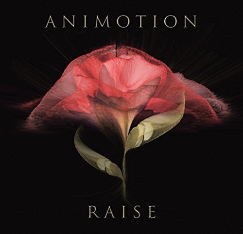Raise Your Expectations ( Vinyl ) { Vinyl }