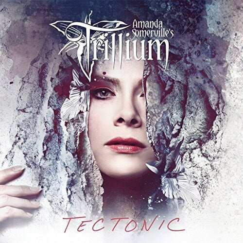 Tectonic ( Vinyl ) { Vinyl }