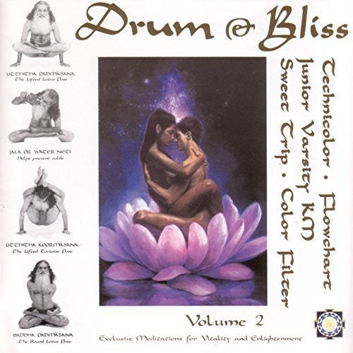 Drum & Bliss 2 / Various ( Vinyl ) { Vinyl }