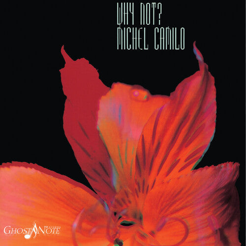 Why Not ( Vinyl ) { Vinyl }