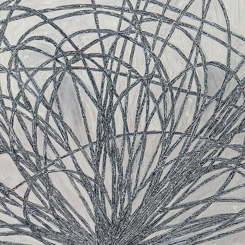 Hausi ( Vinyl ) {Vinyl } { Vinyl }