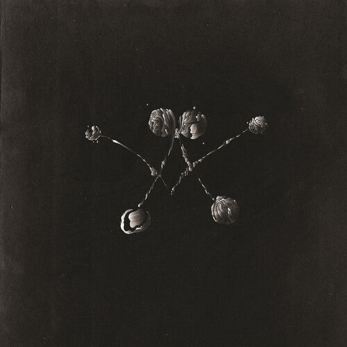 Nowhere Now ( Vinyl ) {Vinyl } { Vinyl }