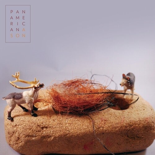 A Son ( Vinyl ) {Vinyl } { Vinyl }
