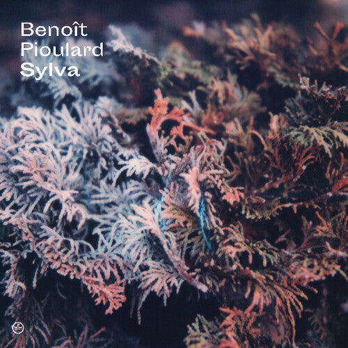 Sylva ( Vinyl ) { Vinyl }