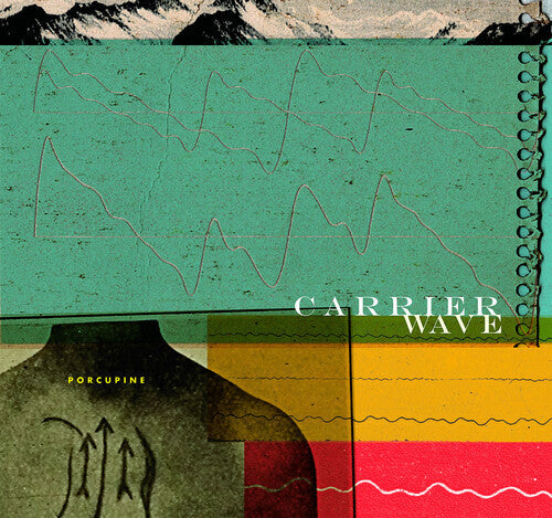 Carrier Wave ( Vinyl ) {Vinyl } { Vinyl }