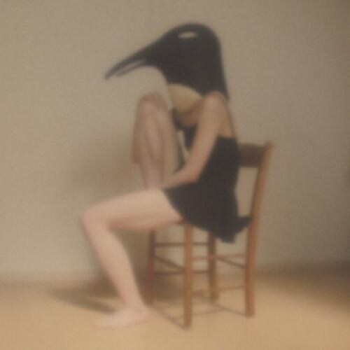 Penguin Cafe Orchestra-Tribute- / Various ( Vinyl ) {Vinyl } { Vinyl }