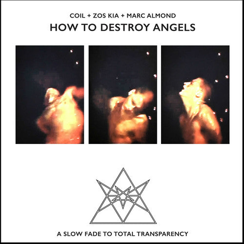 How to Destroy Angels ( Vinyl ) { Vinyl }