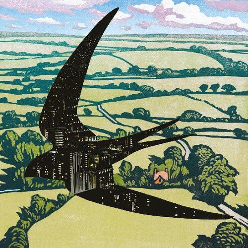 Sleep on the Wing ( Vinyl ) {Vinyl } { Vinyl }