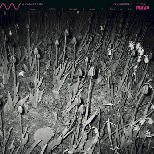 Oystercatcher ( Vinyl ) {Vinyl } { Vinyl }