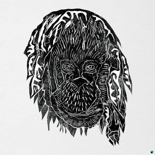 Raise the Ark ( Vinyl ) {Vinyl } { Vinyl }