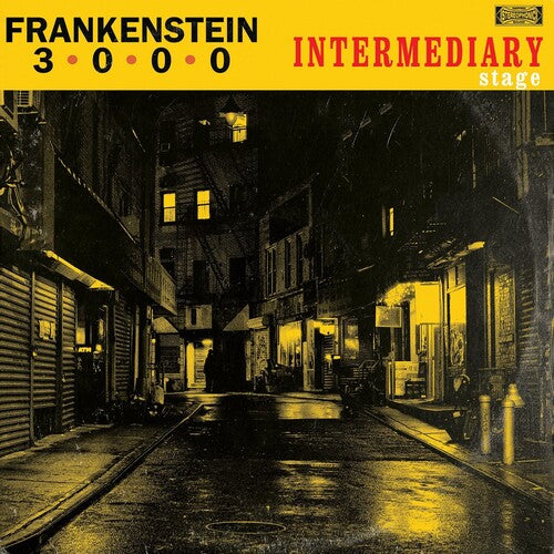 Intermediary Stage ( Vinyl ) {Vinyl } { Vinyl }