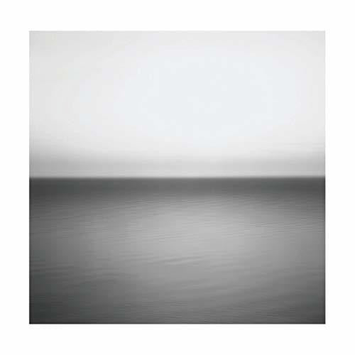 No Line on the Horizon ( Vinyl ) { Vinyl }