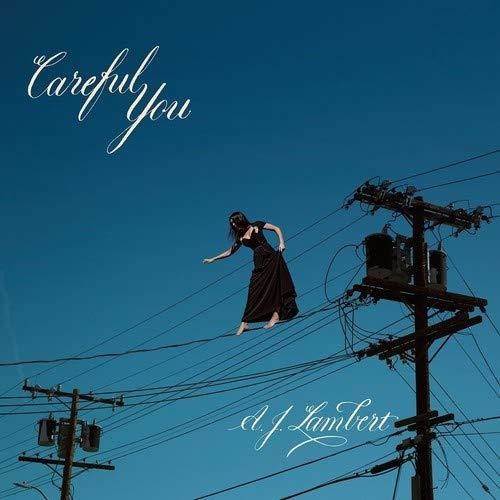 Careful You ( Vinyl ) { Vinyl }