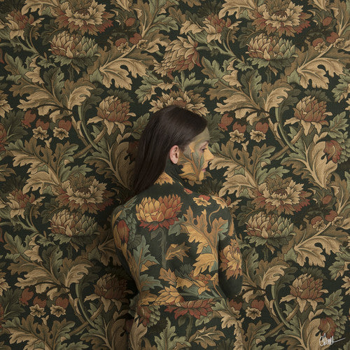 In Plain Sight ( Vinyl ) { Vinyl }