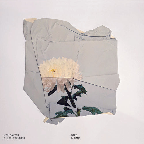 Safe & Sane ( Vinyl ) { Vinyl }