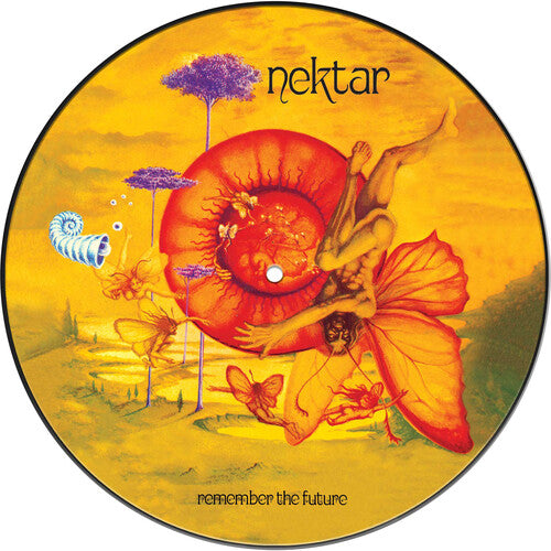 Remember the Future (Picture Disc) ( Vinyl ) { Vinyl }