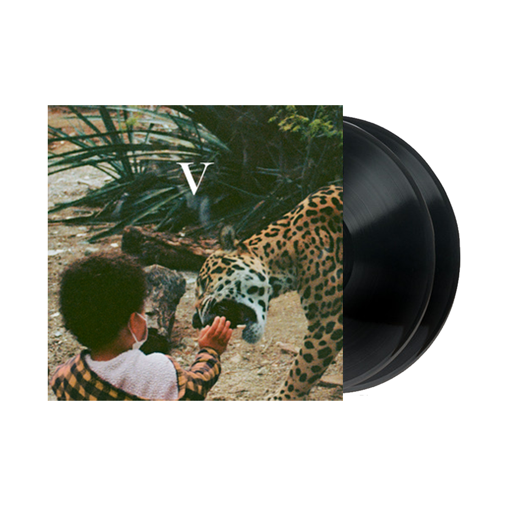 V ( Vinyl ) { Vinyl }