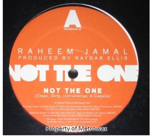 Not the One ( Vinyl ) { Vinyl }