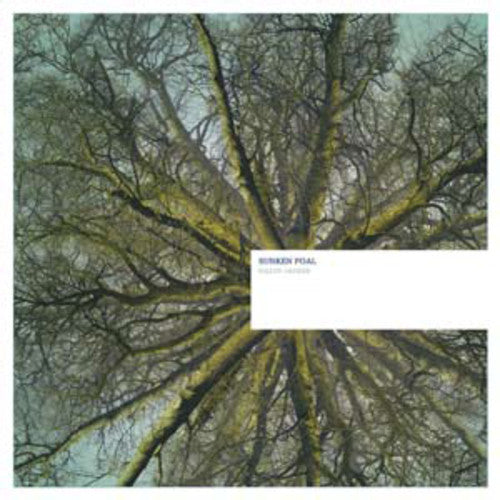 Fallen Arches ( Vinyl ) { Vinyl }