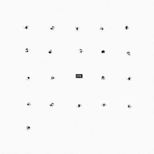 Split Series #20 ( Vinyl ) {Vinyl } { Vinyl }