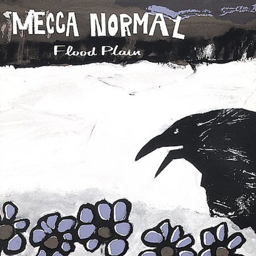 Flood Plan ( Vinyl ) {Vinyl } { Vinyl }