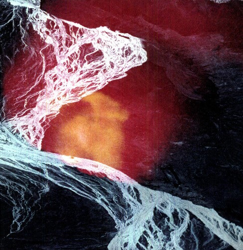 Light Science ( Vinyl ) { Vinyl }