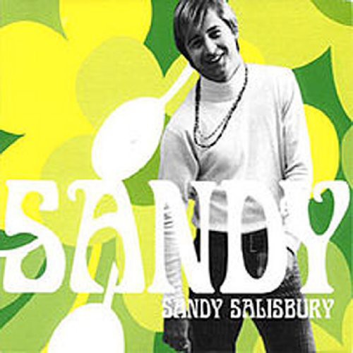 Sandy ( Vinyl ) {Vinyl } { Vinyl }