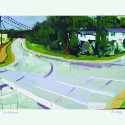Moths ( Vinyl ) { Vinyl }