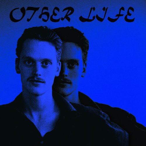 Other Life ( Vinyl ) { Vinyl }