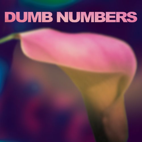 Dumb Numbers ( Vinyl ) { Vinyl }