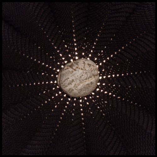 In the Hollows ( Vinyl ) { Vinyl }