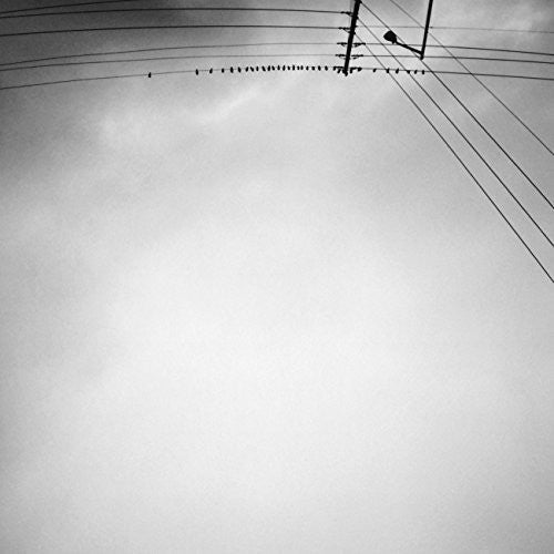 Hummingbird ( Vinyl ) { Vinyl }