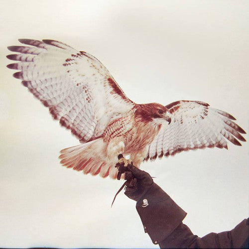 Wild Birds ( Vinyl ) { Vinyl }