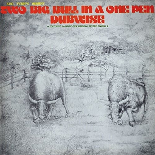 Two Big Bull In a One Pen ( Vinyl ) { Vinyl }