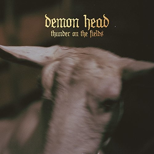 Thunder on the Fields ( Vinyl ) { Vinyl }