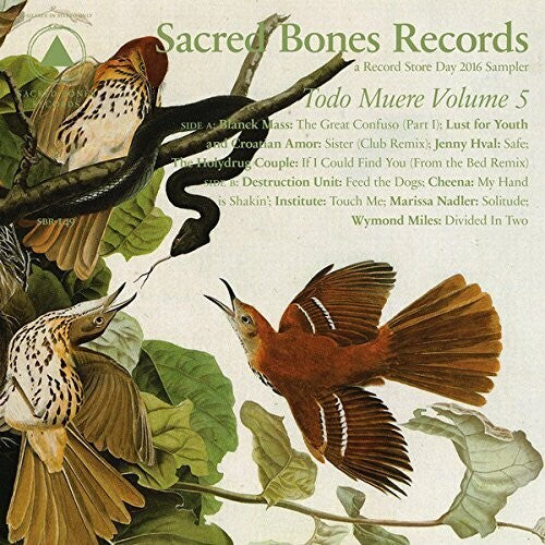 Todo Muere Vol 5 / Various ( Vinyl ) { Vinyl }