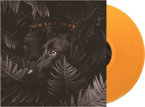 Where the Dogs Don't Bite ( Vinyl ) { Vinyl }