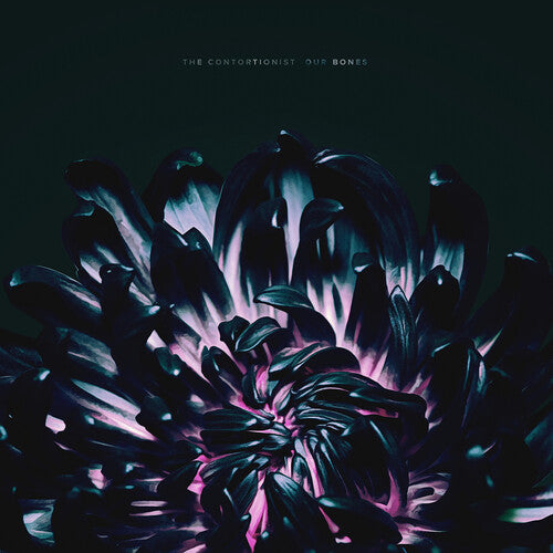 Our Bones ( Vinyl ) { Vinyl }