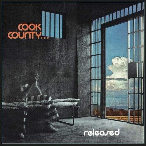 Released ( Vinyl ) { Vinyl }