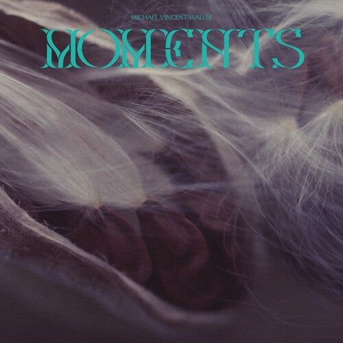 Moments ( Vinyl ) { Vinyl }