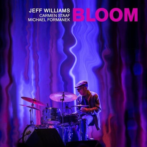 Bloom ( Vinyl ) {Vinyl } { Vinyl }