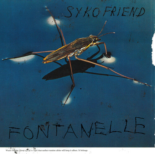 Fontanelle ( Vinyl ) { Vinyl }